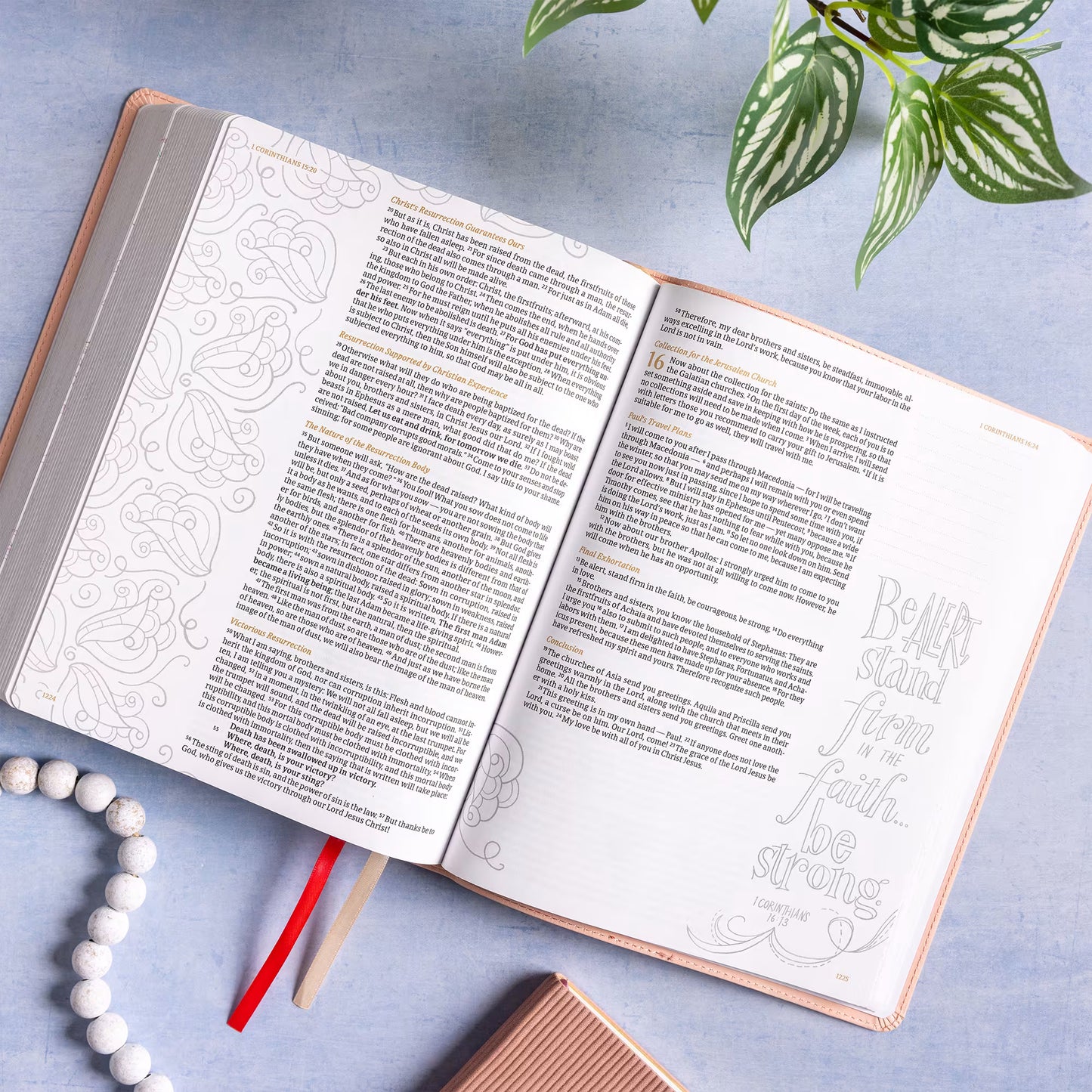 CSB Illustrator’s Notetaking Bible, Large Print, LeatherTouch