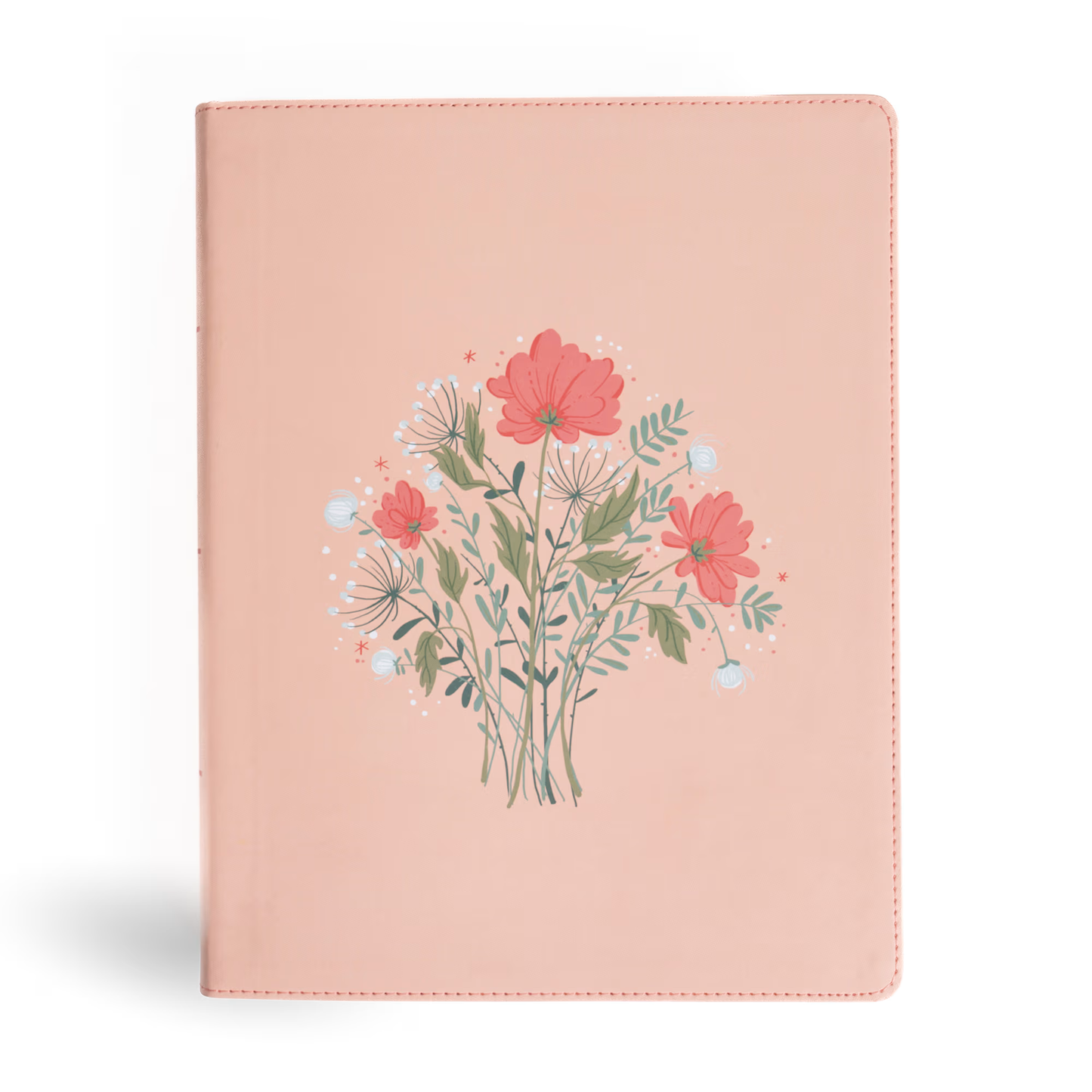 CSB Illustrator’s Notetaking Bible, Large Print, LeatherTouch