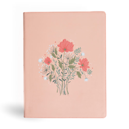 CSB Illustrator’s Notetaking Bible, Large Print, LeatherTouch