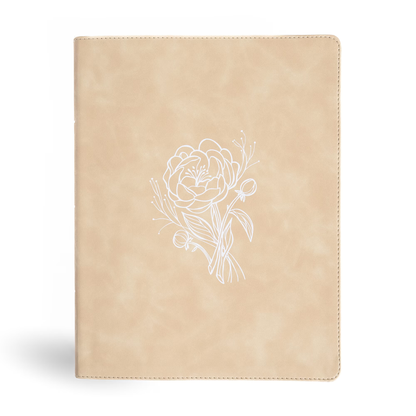 CSB Illustrator’s Notetaking Bible, Large Print, LeatherTouch