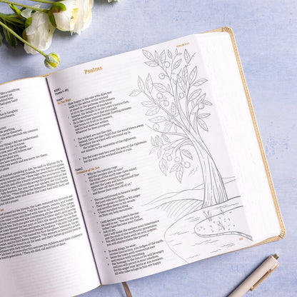 CSB Illustrator’s Notetaking Bible, Large Print, LeatherTouch