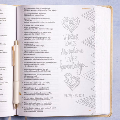 CSB Illustrator’s Notetaking Bible, Large Print, LeatherTouch
