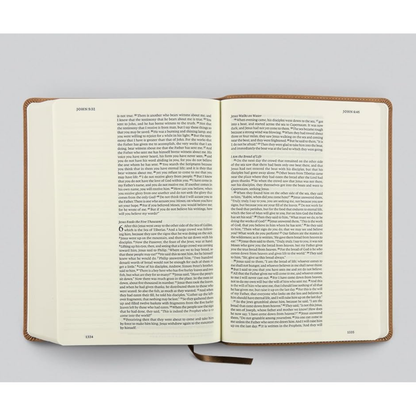 ESV Single Column Journaling Bible®, Large Print