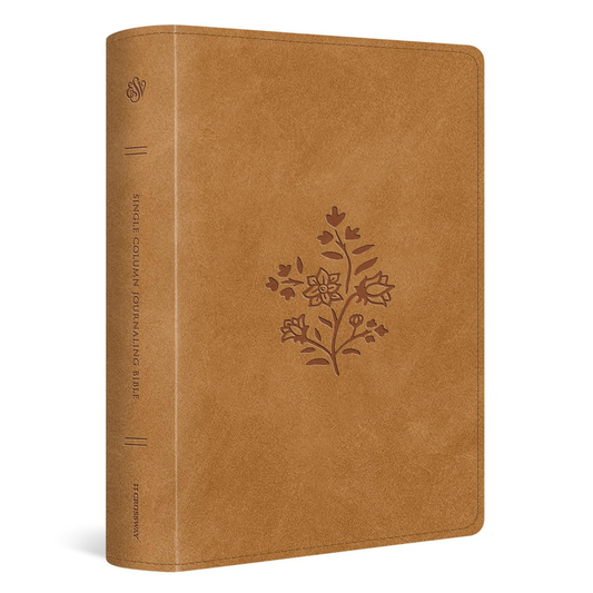 ESV Single Column Journaling Bible®, Large Print