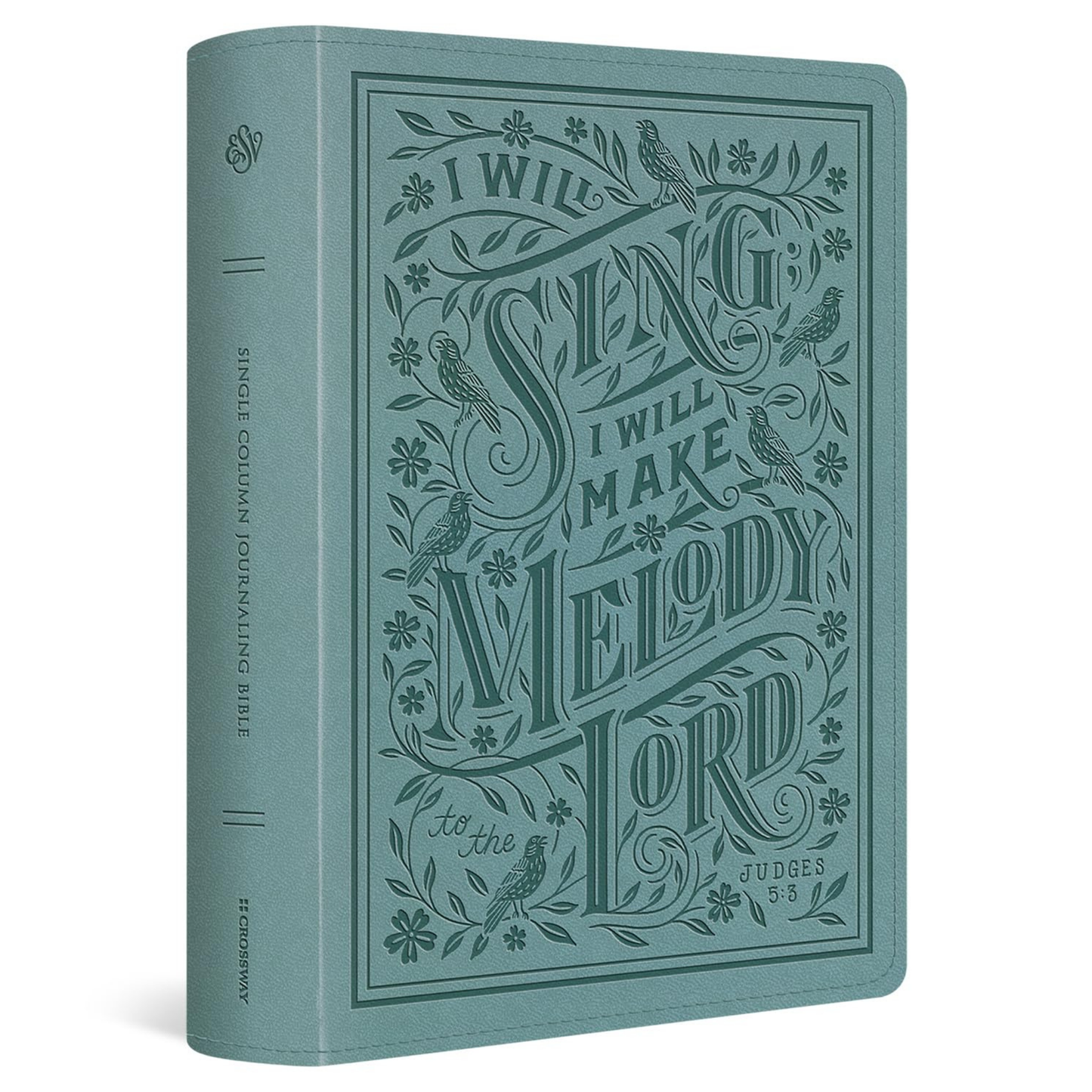 ESV Single Column Journaling Bible®, Large Print