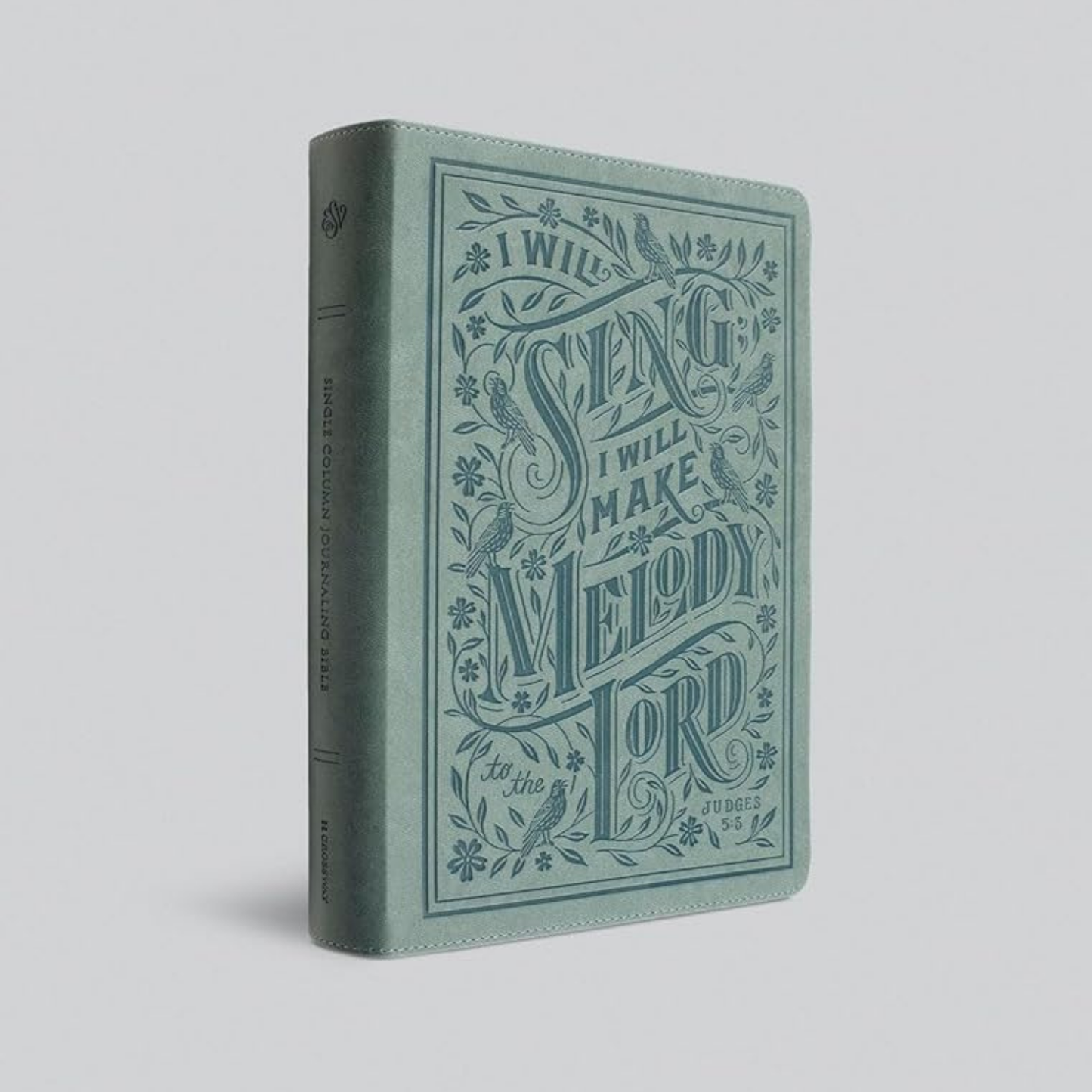 ESV Single Column Journaling Bible®, Large Print