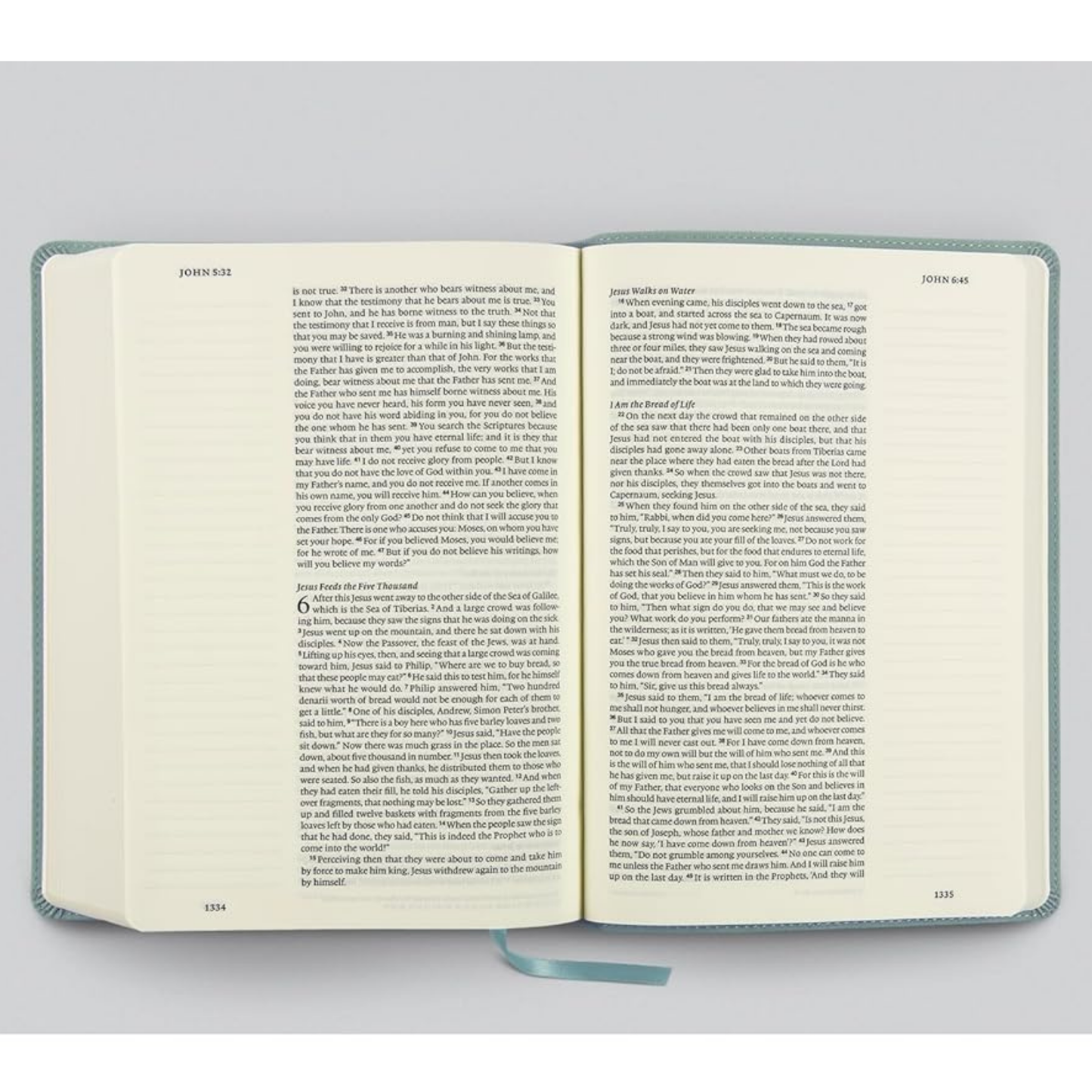 ESV Single Column Journaling Bible®, Large Print