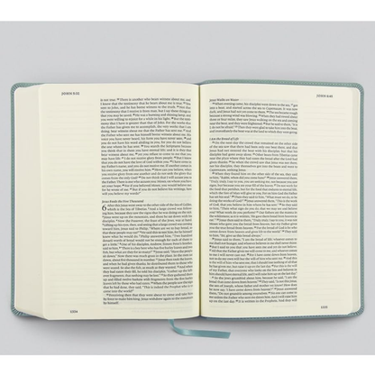 ESV Single Column Journaling Bible®, Large Print