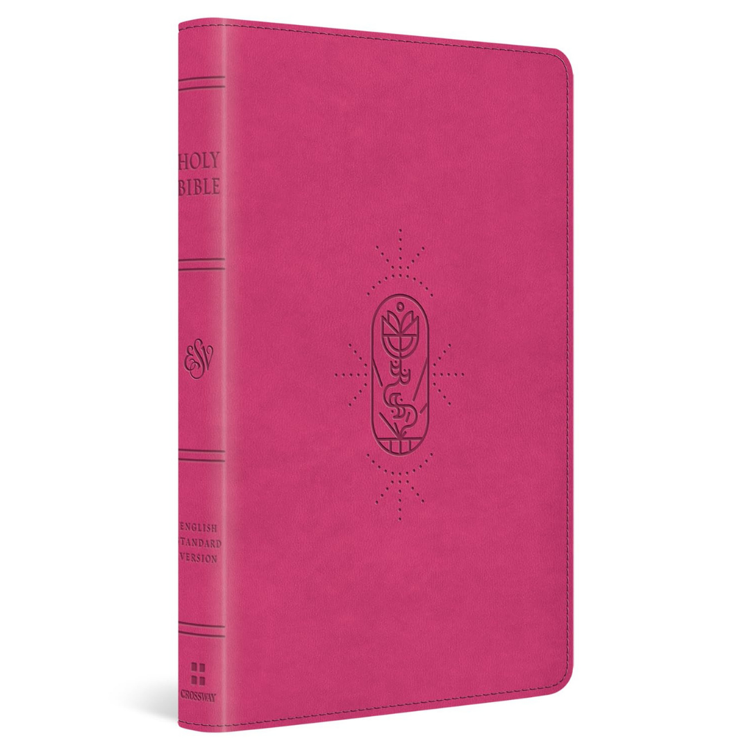 ESV Holy Bible for Kids