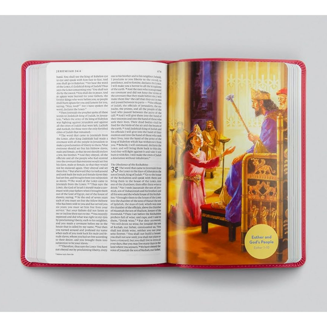 ESV Holy Bible for Kids