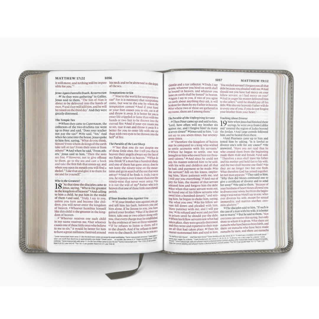 ESV Large Print Compact Bible, TruTone® Stone, Branch Design
