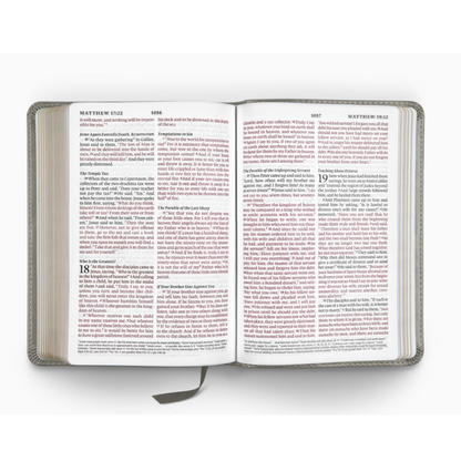 ESV Large Print Compact Bible, TruTone® Stone, Branch Design