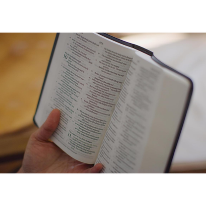 ESV Value Large Print Compact Bible