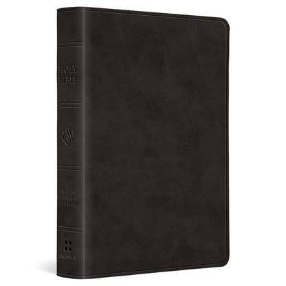 ESV Value Large Print Compact Bible