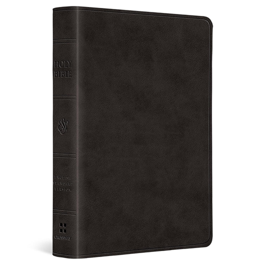 ESV Value Large Print Compact Bible