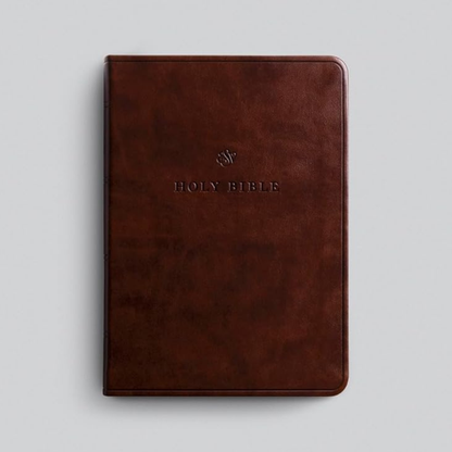 ESV Value Large Print Compact Bible