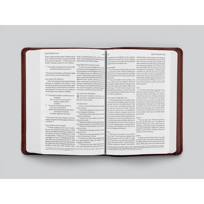 ESV Value Large Print Compact Bible