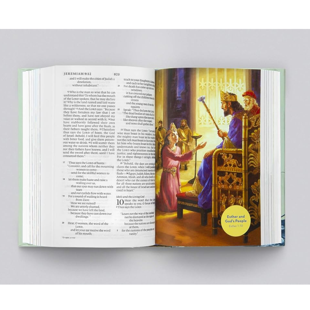 ESV Holy Bible for Kids (Compact)