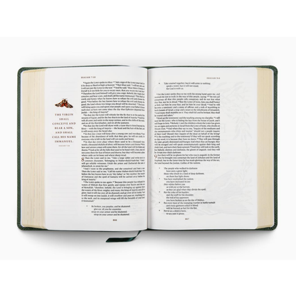 ESV GraceLaced Bible, Journaling Edition, TruTone®, Quiet Forest
