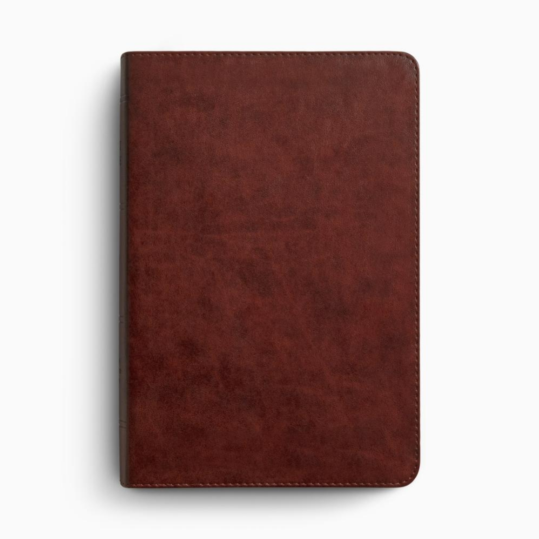 ESV Giant Print Personal Size Bible, TruTone®, Chestnut