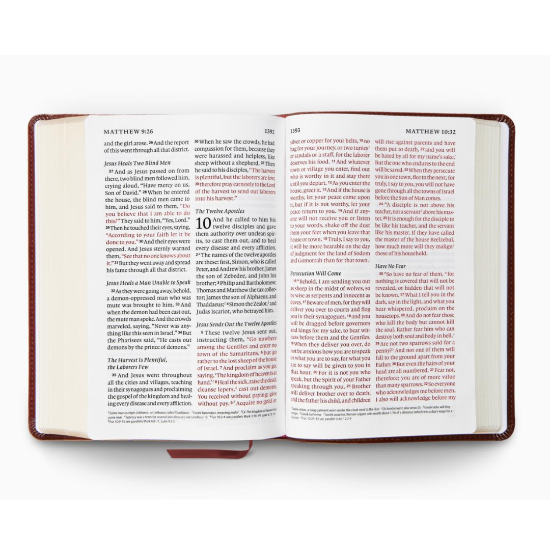 ESV Giant Print Personal Size Bible, TruTone®, Chestnut