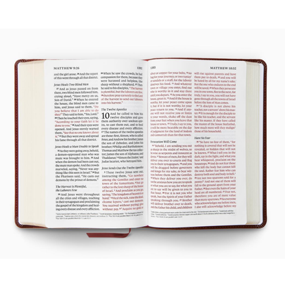 ESV Giant Print Personal Size Bible, TruTone®, Chestnut