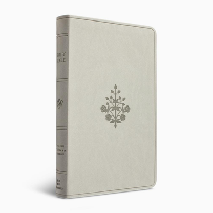 ESV Large Print Value Thinline Bible, TruTone®, River Stone