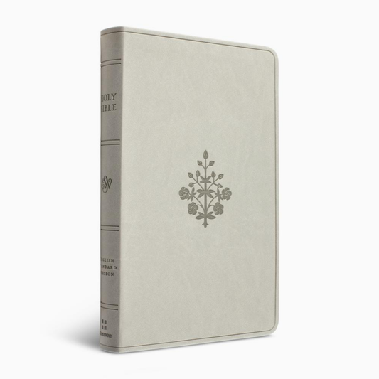 ESV Large Print Value Thinline Bible, TruTone®, River Stone