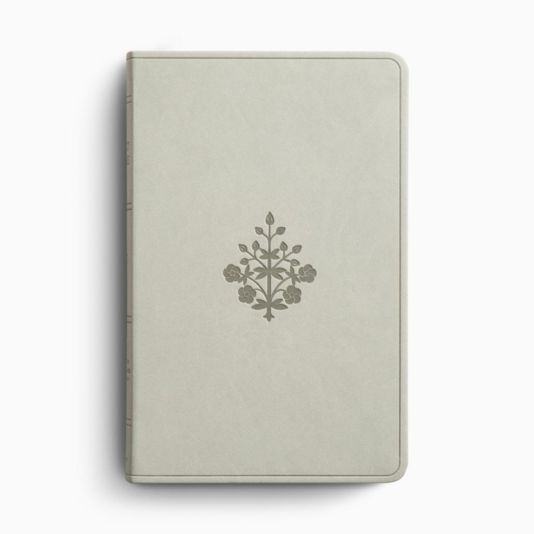 ESV Large Print Value Thinline Bible, TruTone®, River Stone