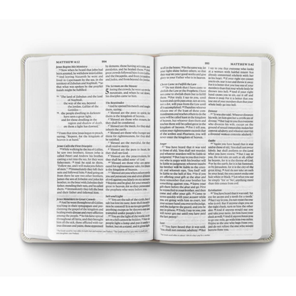 ESV Large Print Value Thinline Bible, TruTone®, River Stone