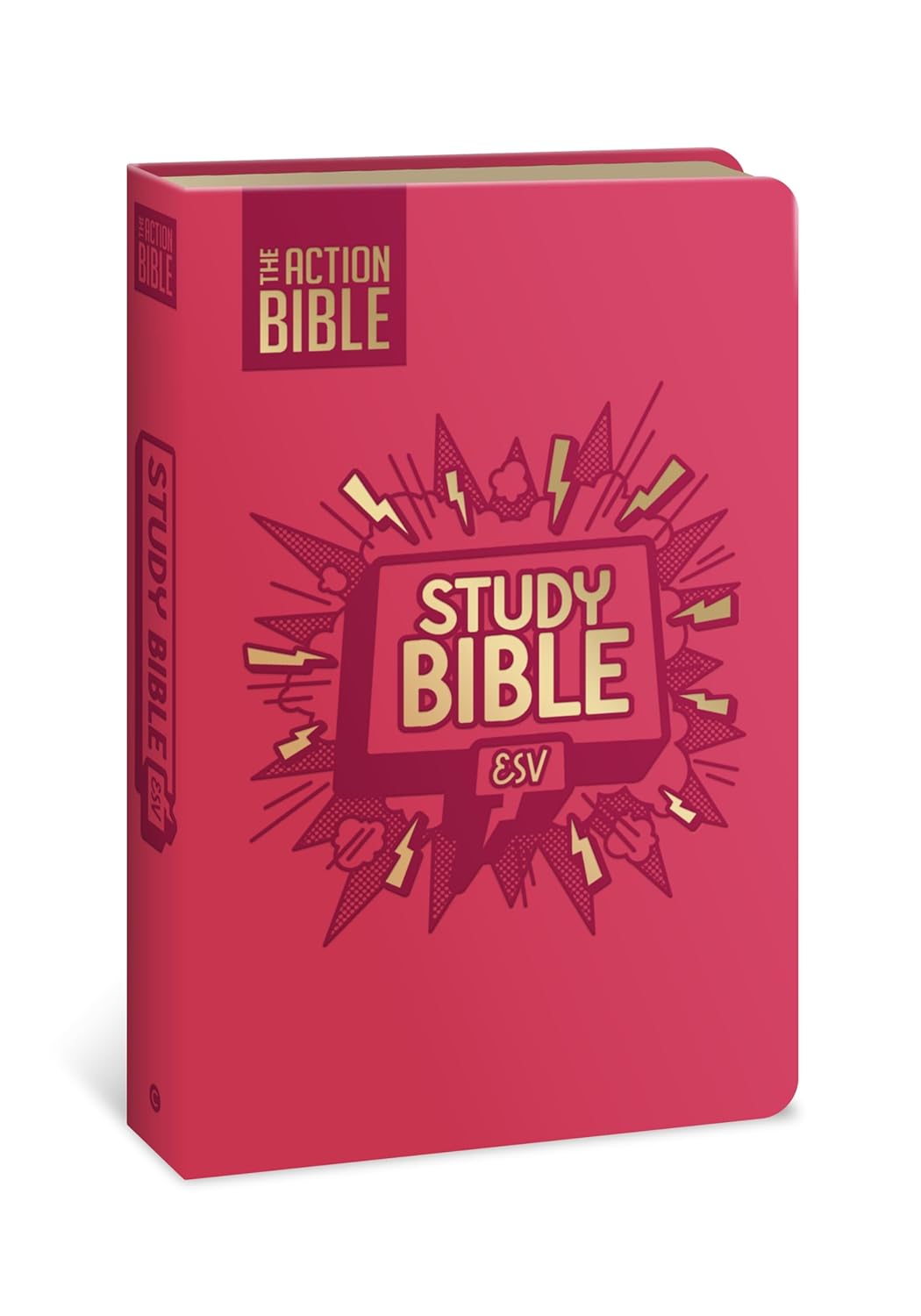 ESV: The Action Bible Study Bible (Action Bible Series)