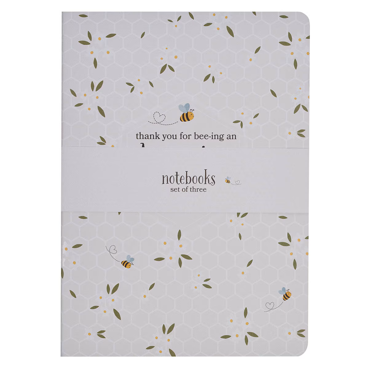 Amazing Teacher - Notebook Set (NBS084)
