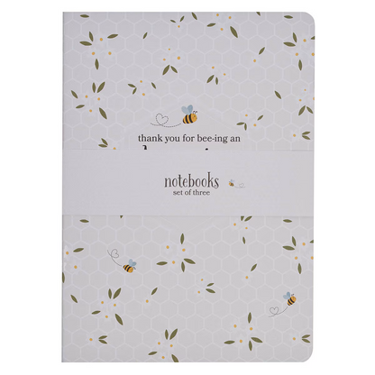Amazing Teacher - Notebook Set (NBS084)