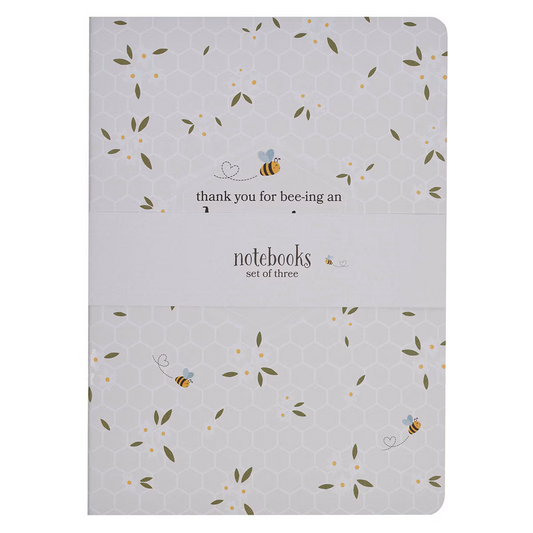 Amazing Teacher - Notebook Set (NBS084)