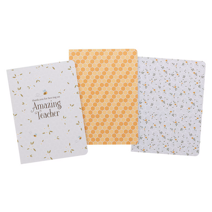 Amazing Teacher - Notebook Set (NBS084)
