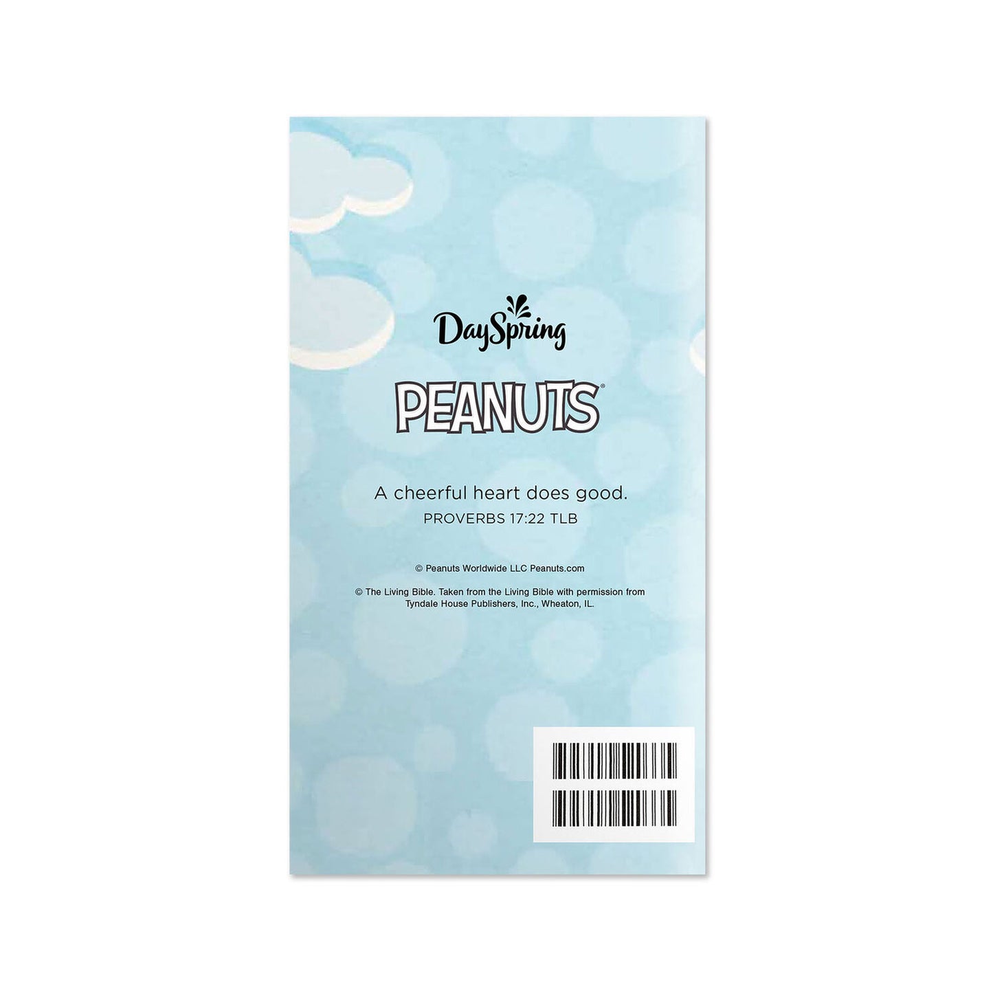 2027-2028 Inspirational Pocket Planner