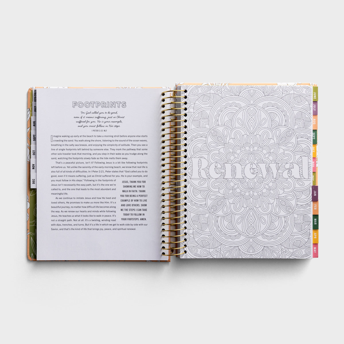 2025-2026 Premium Devotional Planner (18-Month) - He Refreshes My Soul (U3363)
