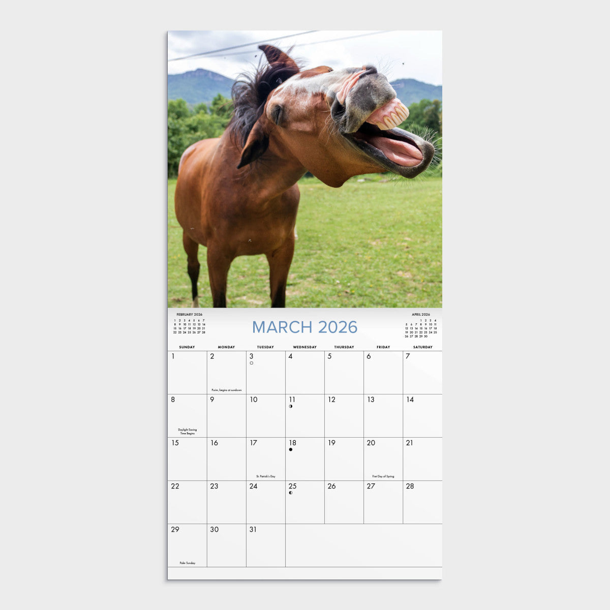 2026 Wall Calendar - Fun on the Farm (U3489)