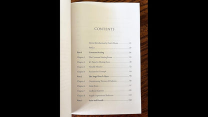 Angel Armies: God's Supernatural Enforcers