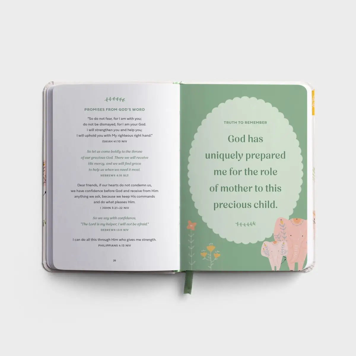 Prayers & Affirmations for You & Your Baby - Devotional