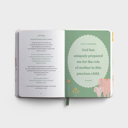 Prayers & Affirmations for You & Your Baby - Devotional