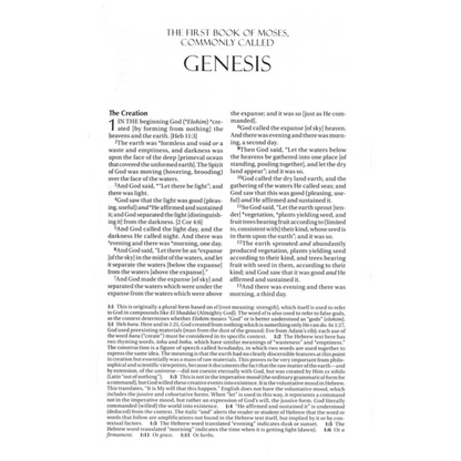 Amplified Holy Bible, Bonded Leather, Black