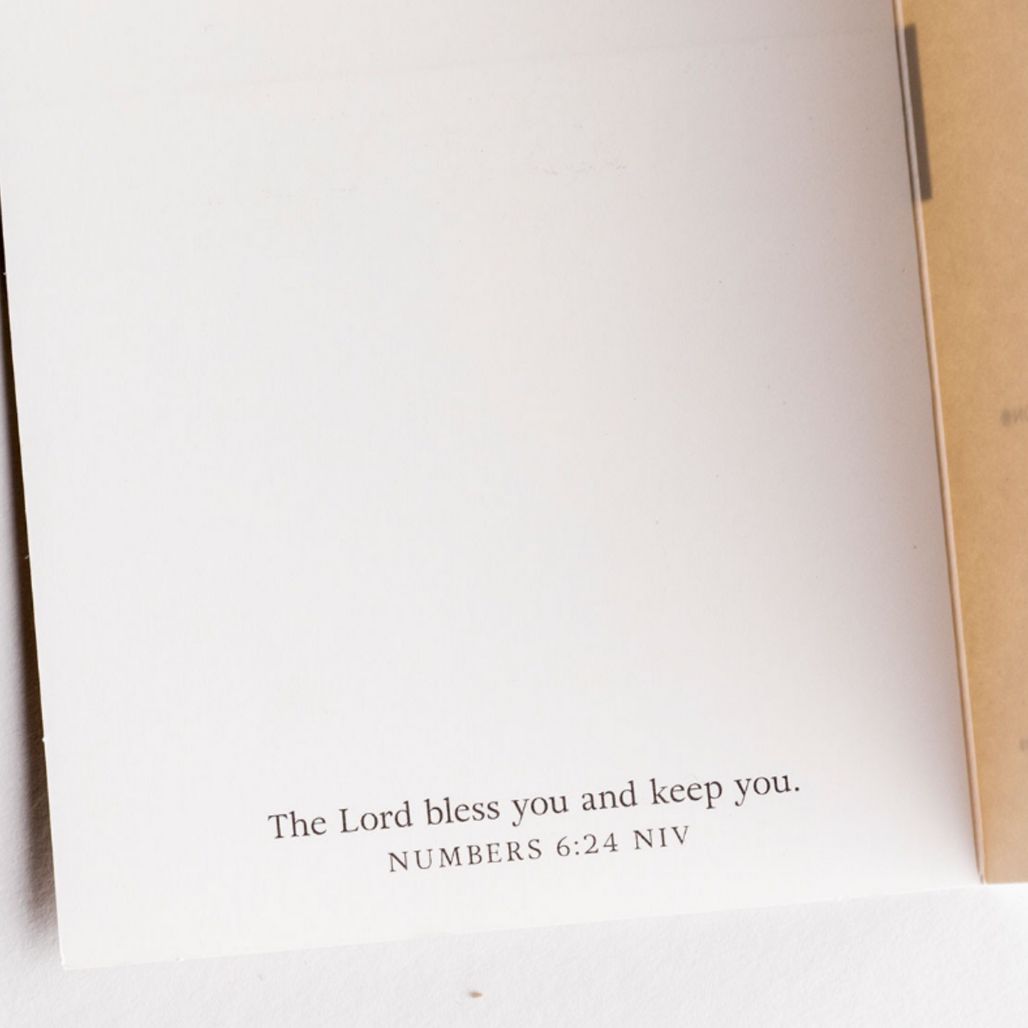 Thank You Card, Box of 10 - The Lord Bless You (#71942)