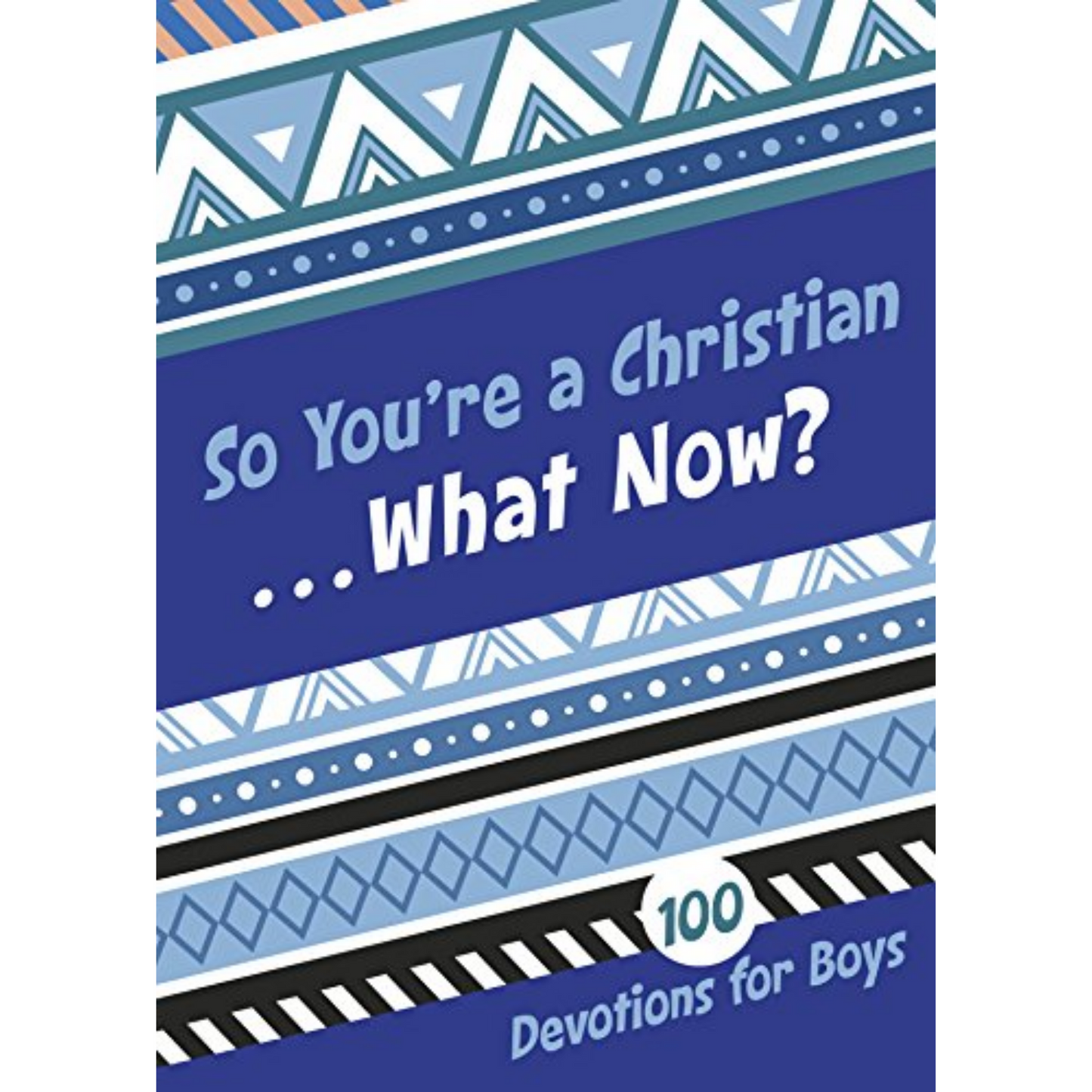 So You're A Christian What Now? 100 Devo For Boys