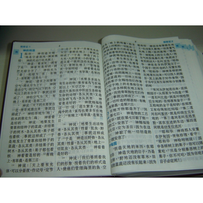 Bible In Chinese Chinese Bible - Simplified Vinyl Cover, Giant Print (CUNPSS83PL ...