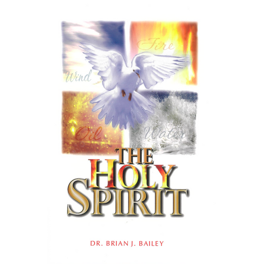 The Holy Spirit - The Comforter