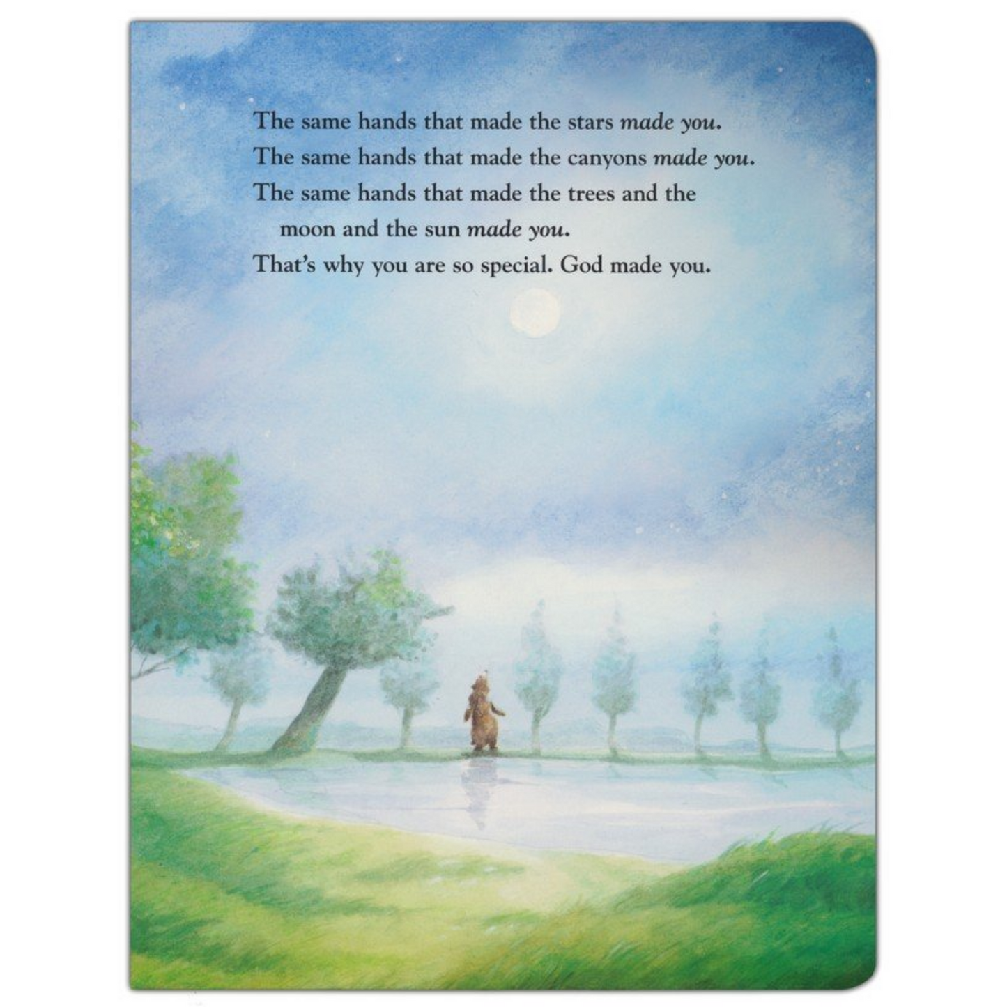 Just in Case You Ever Wonder (Boardbook)