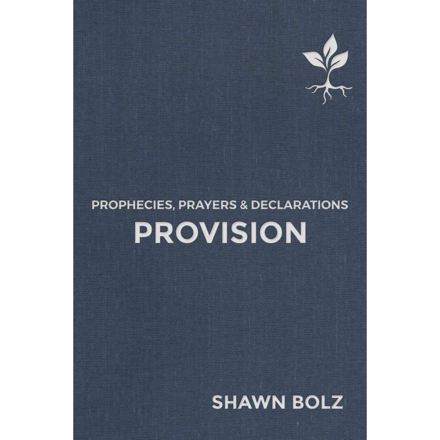 Provision: Prophecies, Prayers & Declarations