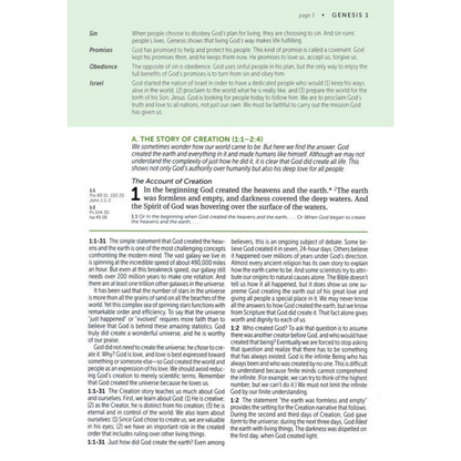 NLT Life Application Study Bible (Third Ed), Large Print - LeatherLike, Black/Onyx