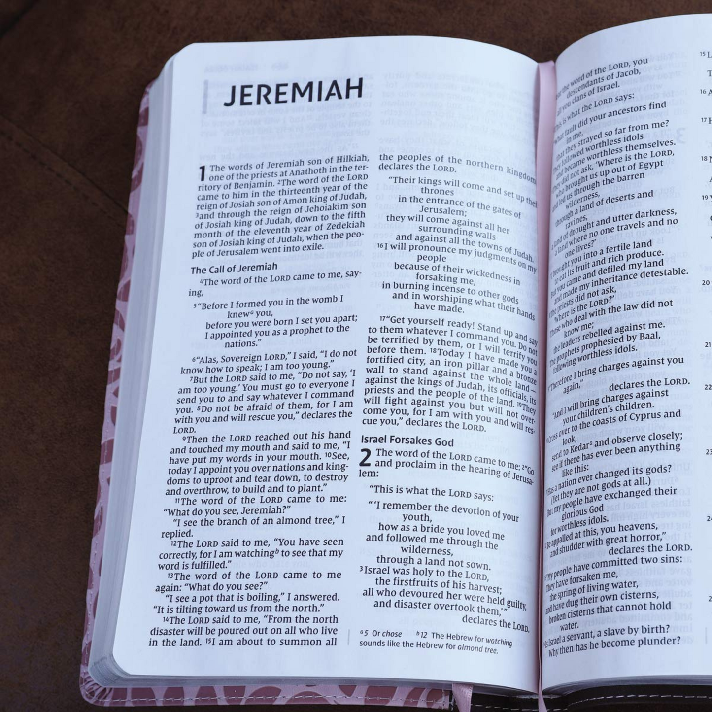 NIV Thinline Bible, Large Print, Pink Leathersoft